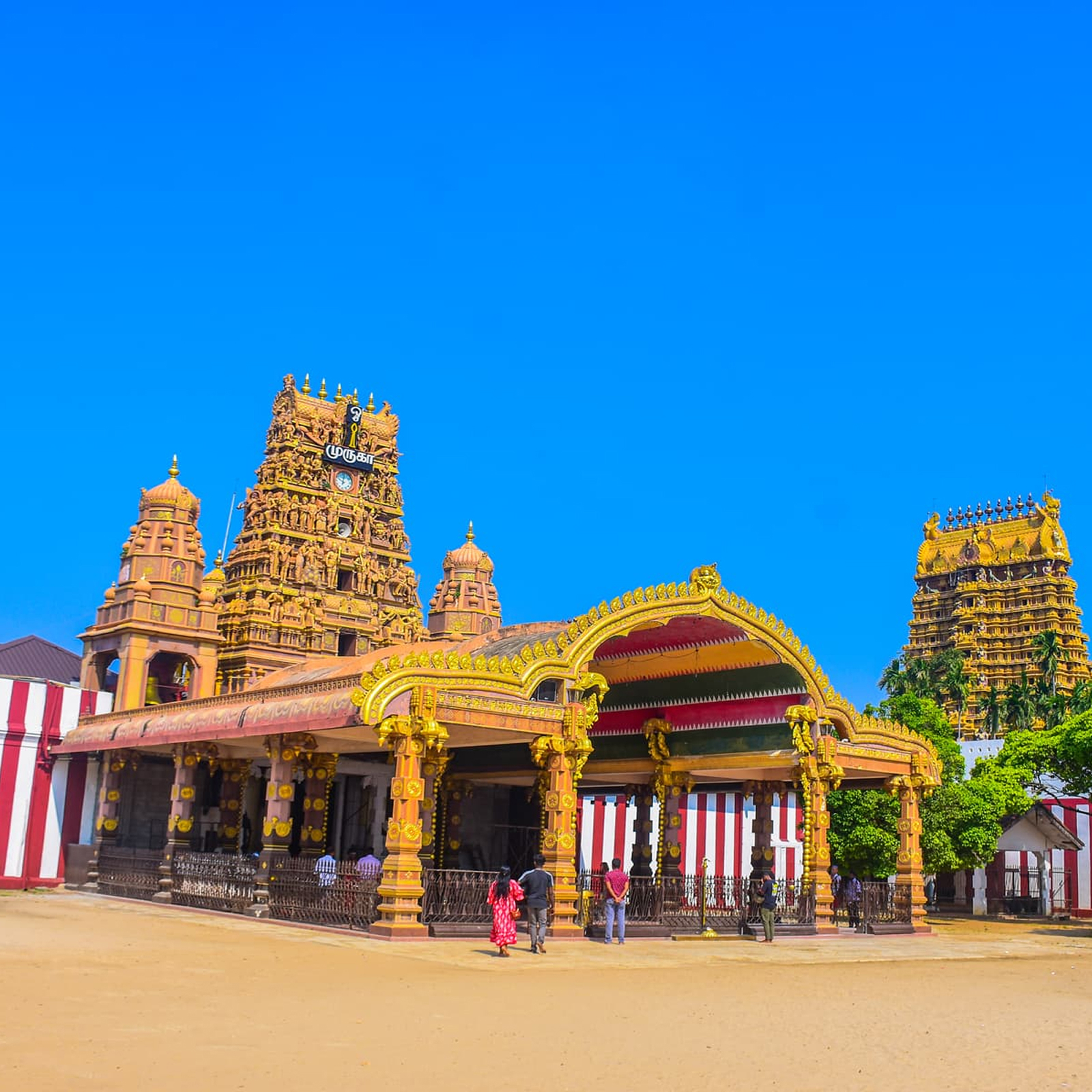 Srilanka Ferry Packages