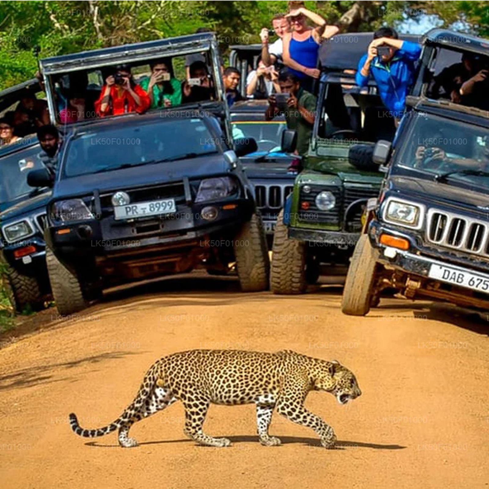 Srilanka Ferry Packages